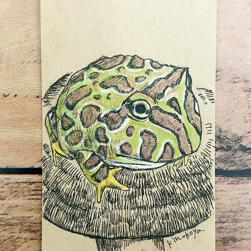 ミニ原画「ベルツノガエル」 絵画 木野子屋 通販 11849022｜Creema