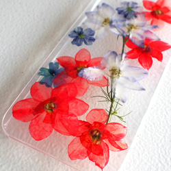 Narcissus iPhonecase 押花 第2張的照片