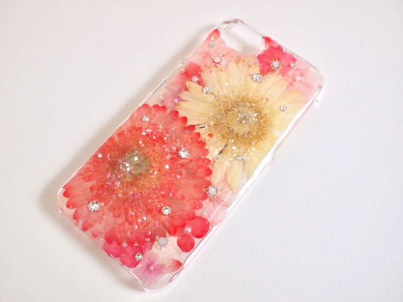 【受注製作】Gerberaガーベラ bi-color押し花 iPhone6〜8 2枚目の画像