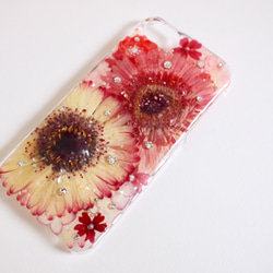 【受注製作】Gerberaガーベラ bi-color押し花 iPhone6〜8 4枚目の画像
