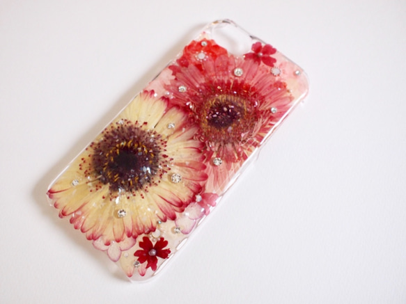 【受注製作】Gerberaガーベラ bi-color押し花 iPhone6〜8 4枚目の画像