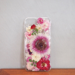 Gerbera ROSE iphone 6/7/8加上尺寸 第2張的照片