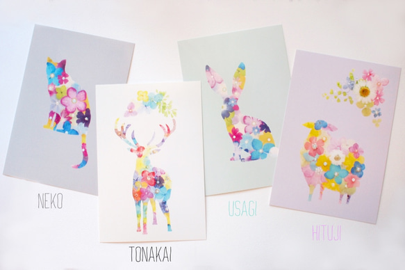 ＊花の世界＊POST CARDセット 3枚目の画像