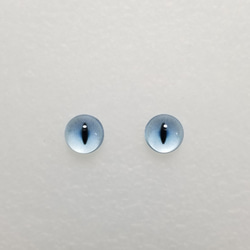 C21　猫の瞳　１０㎜　グラスアイ　羊毛フェルト用 1枚目の画像