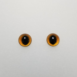 E22　猫の瞳　１０㎜　グラスアイ　羊毛フェルト用 1枚目の画像
