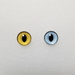 M23　猫の瞳　１０㎜【ドーム型】　グラスアイ　羊毛フェルト用 3枚目の画像