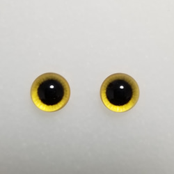 U25　猫の瞳　８㎜　グラスアイ　羊毛フェルト用 1枚目の画像