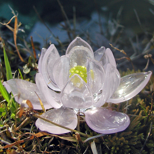 蓮の花 その他置物 ガラス工房アルコス 通販 378219｜Creema(クリーマ