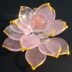 耐熱ガラスの蓮の花 3枚目の画像