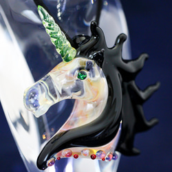 黒いたてがみのユニコーン 1枚目の画像