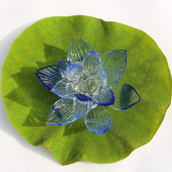 青い蓮の花 6枚目の画像