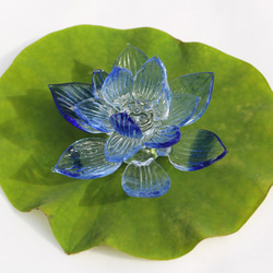 青い蓮の花 7枚目の画像