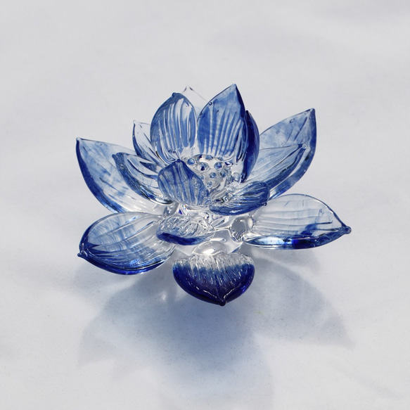 青い蓮の花 1枚目の画像