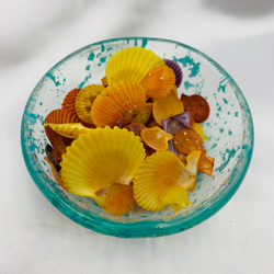 大きい白蝶貝 その他素材 yuusei p 通販 12250542｜Creema(クリーマ)