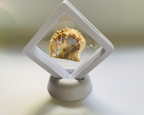 0_724d145b0cf247d4f5abcc219dd8