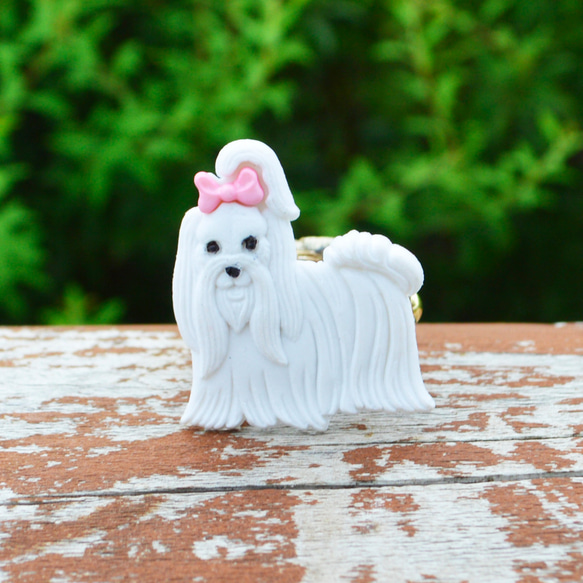 ☆新作☆ LEATHER RING （マルチーズ） 指輪・リング HOLY CRAP