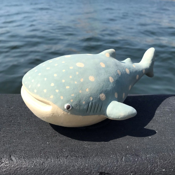 鯨鯊E-122陶瓷/鯨鯊 第1張的照片