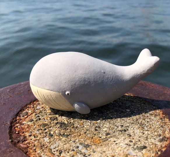 ひなくじら