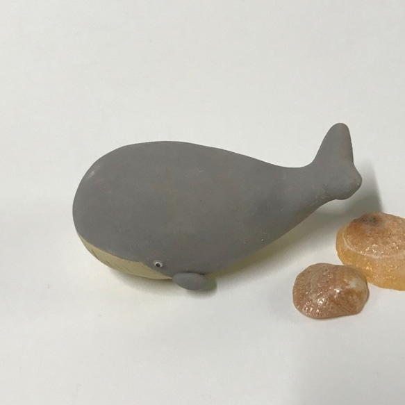 鯨魚灰 E-123-B 陶瓷/鯨魚 第6張的照片