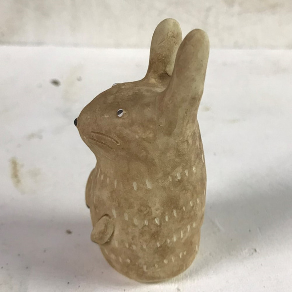 黑兔 O-397-2 陶瓷/兔子/宇佐子 第4張的照片