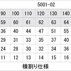  第3張的照片