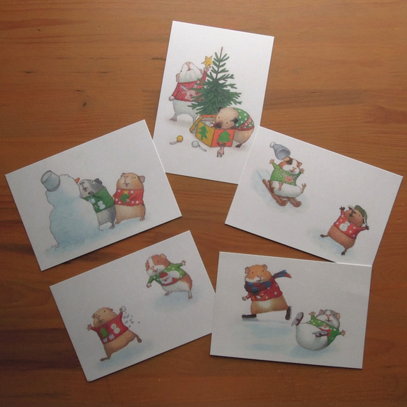モルモット　クリスマスカード５枚組 1枚目の画像