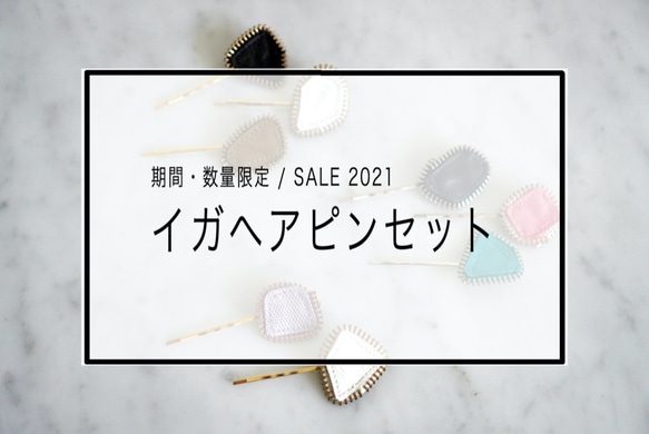 3/31〜 SALE 2021 イガヘアピンセット 2枚目の画像