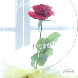バルーンフラワー*真っ赤な薔薇 3枚目の画像