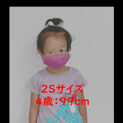 【選べる3枚組】和柄マスク8色5サイズ:子供用:日本製:肌に優しい抗菌マスク:不織布フィルター付き 8枚目の画像