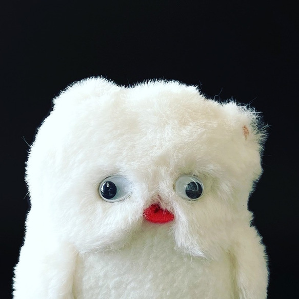 正装不服たぬき　S（受注製作） 3枚目の画像