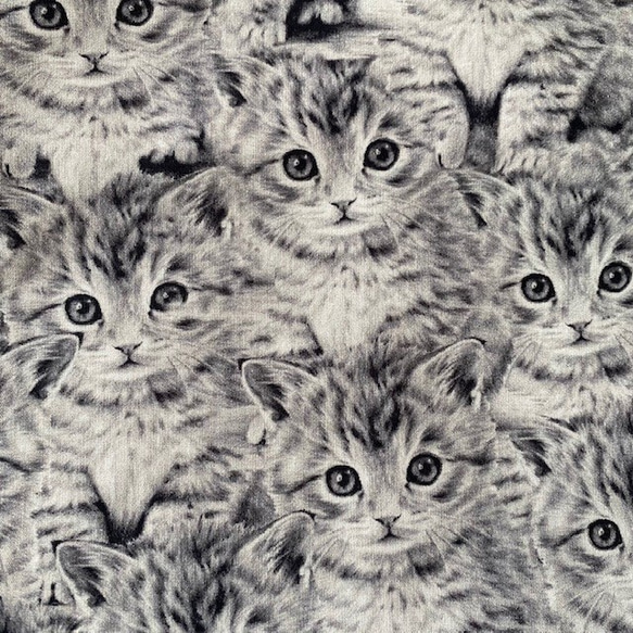 可愛すぎる仔猫のクッションカバー　40×40cm　アメリカンコットン　送料無料 5枚目の画像