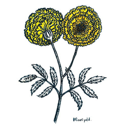 《マリーゴールド〜marigold〜》スッと壁に溶け込むウォールステッカー　※水濡れOK・テカリ無し 2枚目の画像