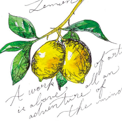 復刻まつり2024【檸檬の詩(うた)】ウォールステッカー※透明シート・防水！　レモン　Lemon 5枚目の画像