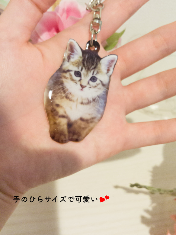 ☆我が家のペット キーホルダー☆可愛いをそのまま形に♪犬 猫 ハムスターetc＊写真＊オリジナル＊オーダーメイド 3枚目の画像