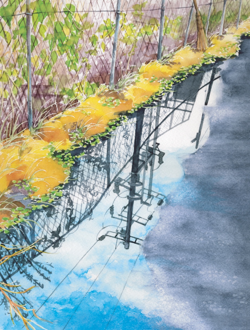 629＊ショカッサイの遊歩道 水彩画 原画 透明水彩画 - メルカリ
