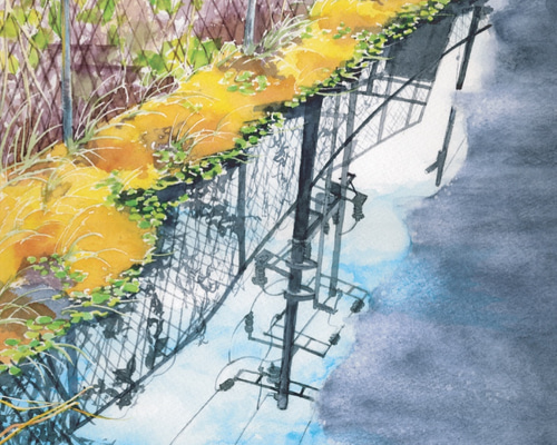 651＊明神湿地帯　水彩画　原画　透明水彩画 カッターのスゴい表現力 ／ 岳沢湿原 【透明水彩風景画