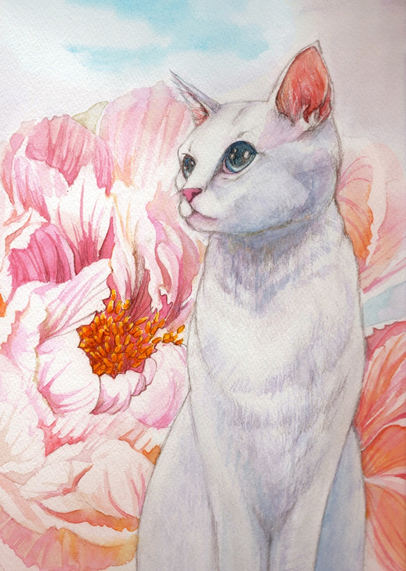 ピオニー （猫のいる絵 透明水彩 原画） 絵画 つかもとていこ