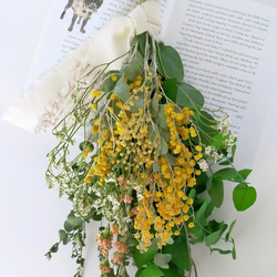1点限り ユーカリのリース ドライフラワー ナチュラル 約22㎝ 誕生日