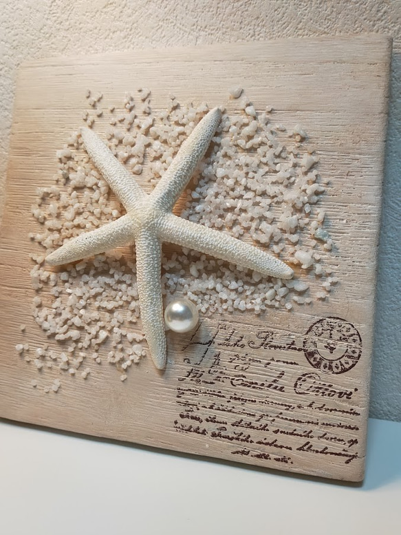ウォールデコ　スターフィッシュ　パール　海　貝がら　夏のインテリア　贈り物　おしゃれ　プレゼント 1枚目の画像