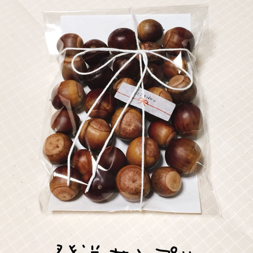 くぬぎどんぐり〜数売りいたします♪〜 その他素材 キク 通販 4715215