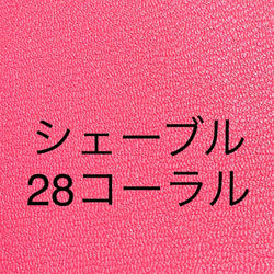 リールキー付きストラップ　リールキー部替え 4枚目の画像