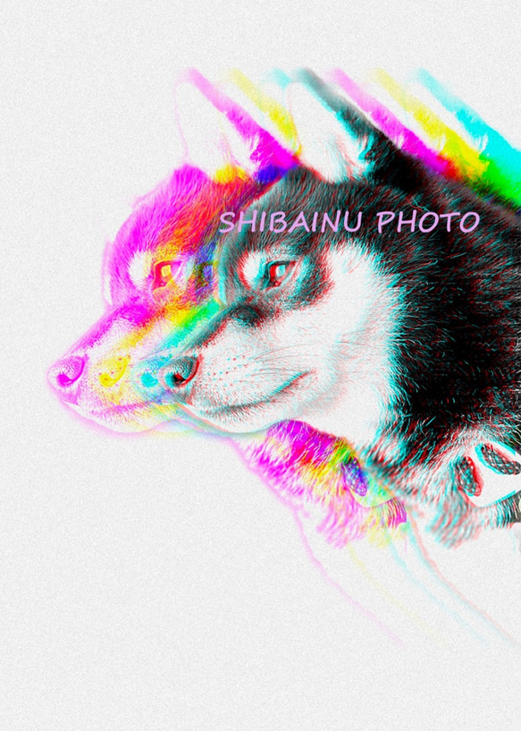 　柴犬　写真　アート　デザイン画 5枚目の画像