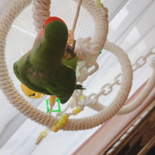 （オーダーページ）ハンドメイド インコさんのぐるぐるロープパーチ オーダーページ）ハンドメイド インコさんのぐるぐるロープパーチ
