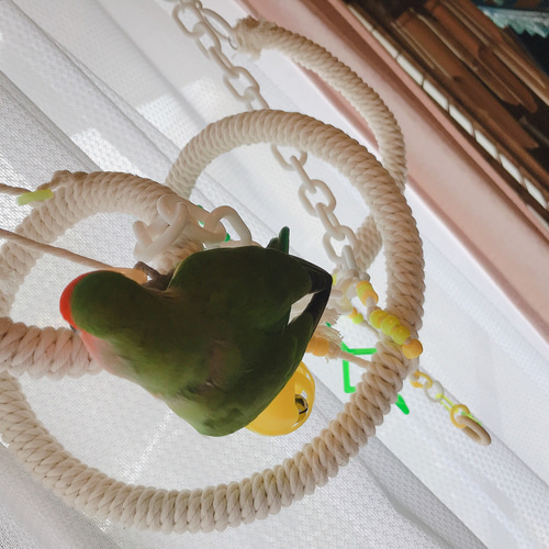 （オーダーページ）ハンドメイド インコさんのぐるぐるロープパーチ オーダーページ）ハンドメイド インコさんのぐるぐるロープパーチ