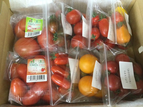 【飛騨高山産】　有機栽培トマト　詰め合わせ　「いろんなトマト」＋α　約2kg（トマト類） 1枚目の画像