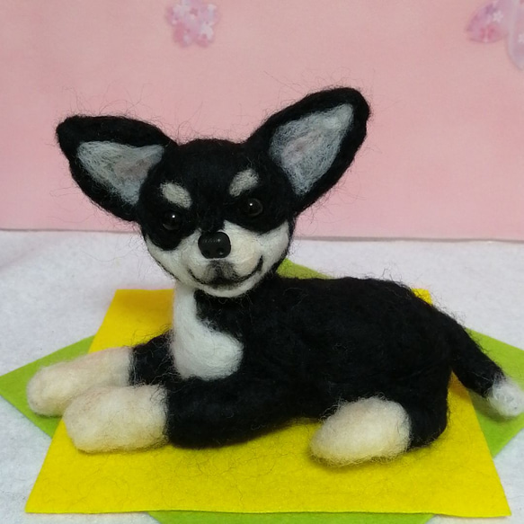 羊毛フェルト犬 チワワ スムースコート ブラックタン 羊毛