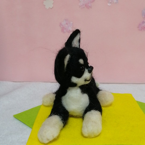 羊毛フェルト犬 チワワ スムースコート ブラックタン 羊毛フェルト か