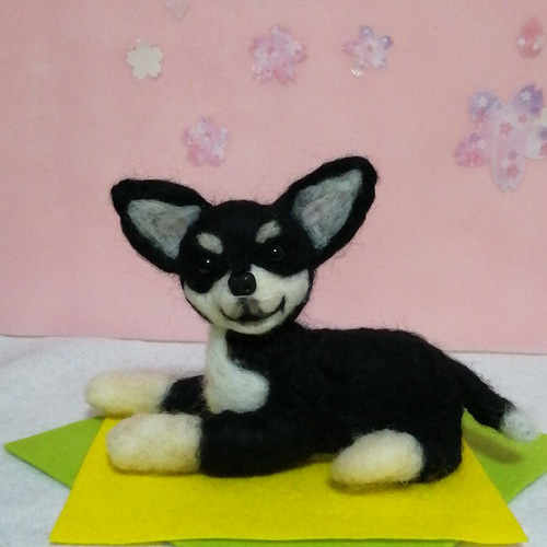 羊毛フェルト犬 チワワ スムースコート ブラックタン 羊毛フェルト か