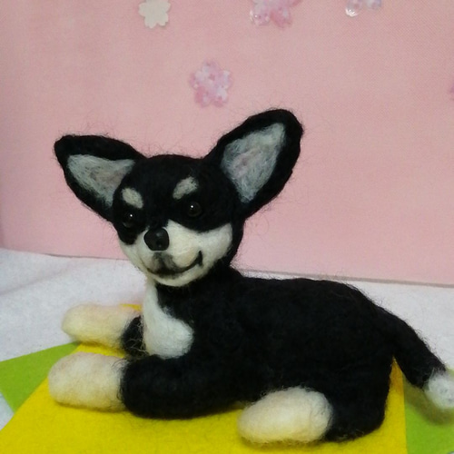 羊毛フェルト犬 チワワ スムースコート ブラックタン 羊毛