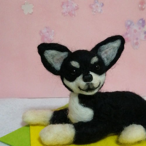 羊毛フェルト犬 チワワ スムースコート ブラックタン 羊毛フェルト か